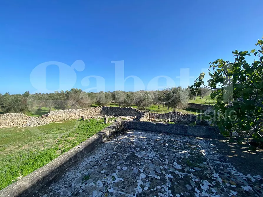 Immagine 19 di Rustico / casale in vendita  in Via Circonvallazione a Veglie