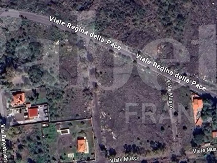 Immagine 2 di Terreno agricolo in vendita  in Via Balestrieri/ Viale Musco, 40 a Belpasso