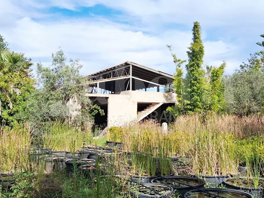 Immagine 37 di Terreno agricolo in vendita  in Contrada gaddimeli, snc a Ragusa