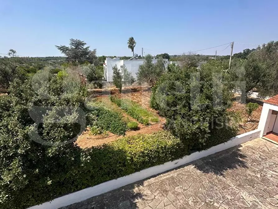 Immagine 41 di Villa in vendita  in Contrada Lamacoppa piccola, sn a Ostuni