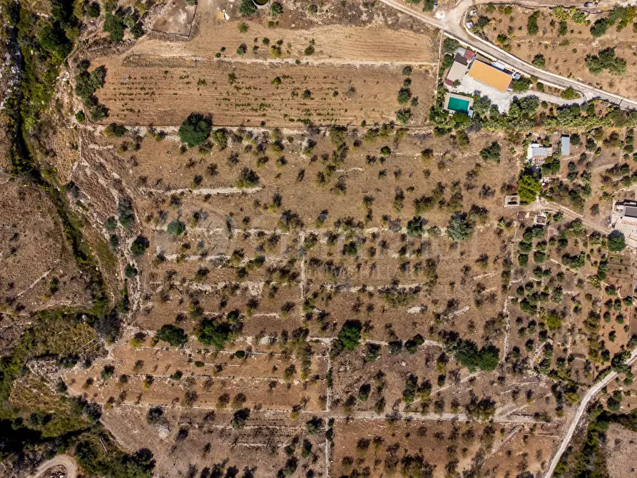 Immagine 3 di Terreno residenziale in vendita  in Contrada PETRARA, 0 a Avola