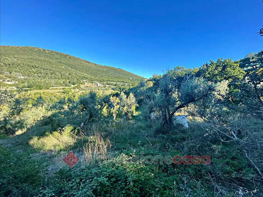 Immagine 2 di Terreno agricolo in vendita  in Via Mariano Bartolucci a Corciano