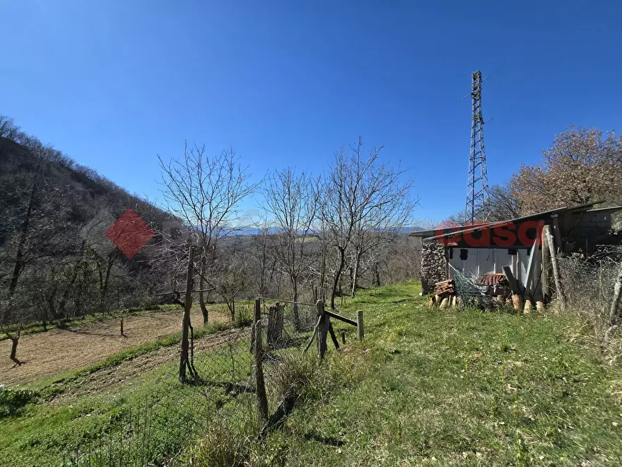 Immagine 14 di Terreno agricolo in vendita  in Via del Cerenaro, snc a Rieti