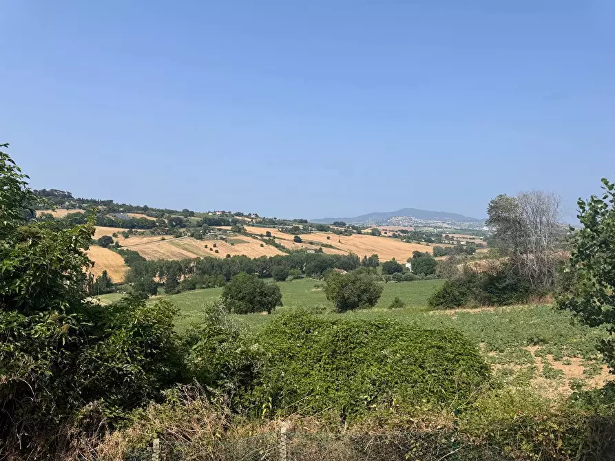 Immagine 22 di Rustico / casale in vendita  in Via castagna, 14 a Osimo