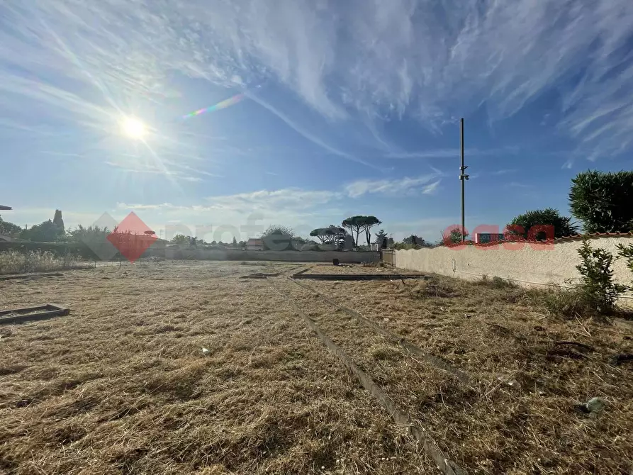 Immagine 20 di Terreno agricolo in vendita  in Strada PROV. S. FELICE CIRCEO, 1 a Terracina