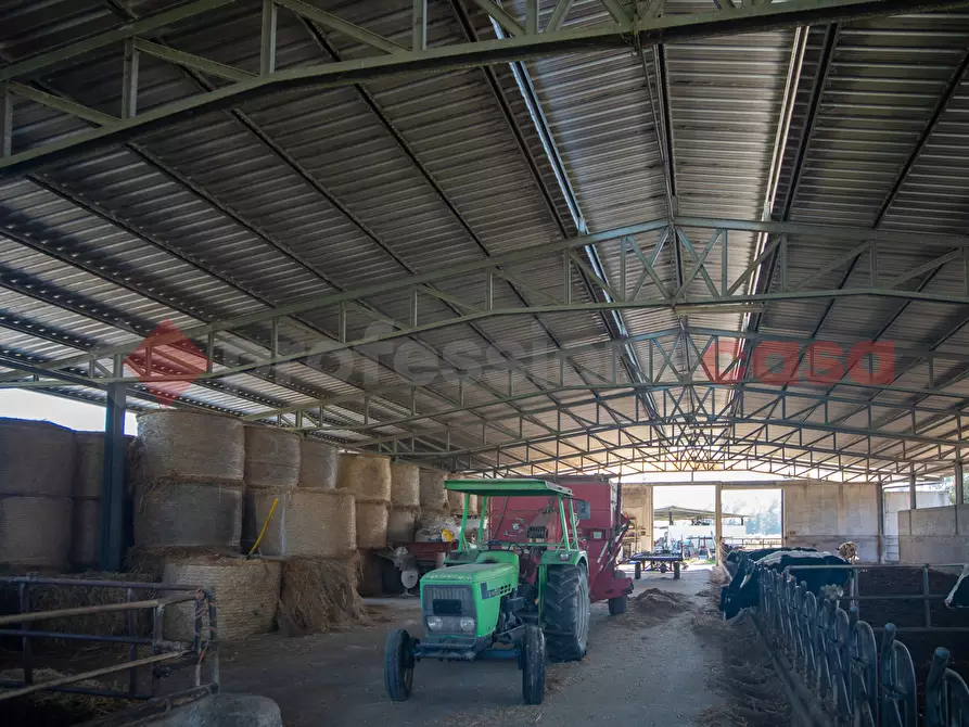 Immagine 39 di Casa indipendente in vendita  in Via PONTE MAGGIORE, 1 a Terracina