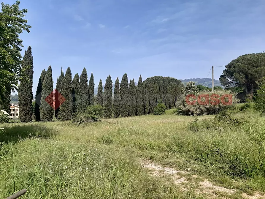 Immagine 9 di Villa in vendita  in Via villa del vescovo, 41 a Uzzano