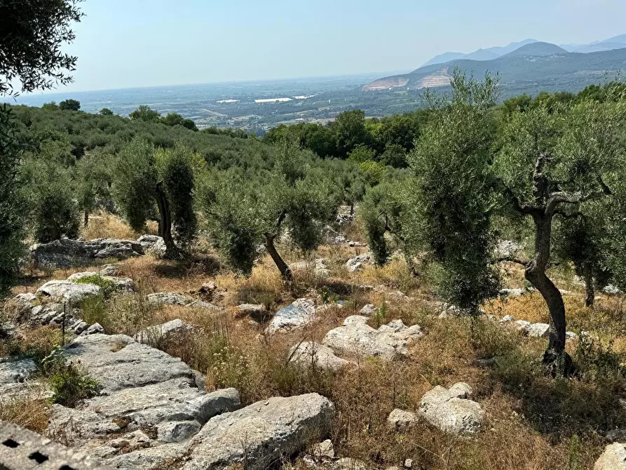 Immagine 16 di Villa in vendita  in Via Carbonara, 11 a Sonnino