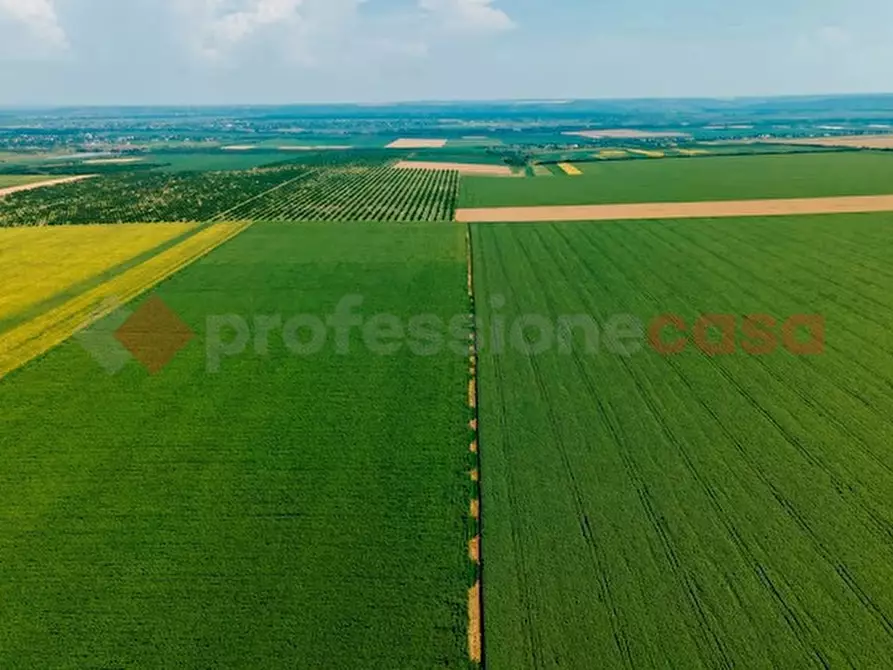Immagine 7 di Terreno agricolo in vendita  in Via casilina, snc a Anagni