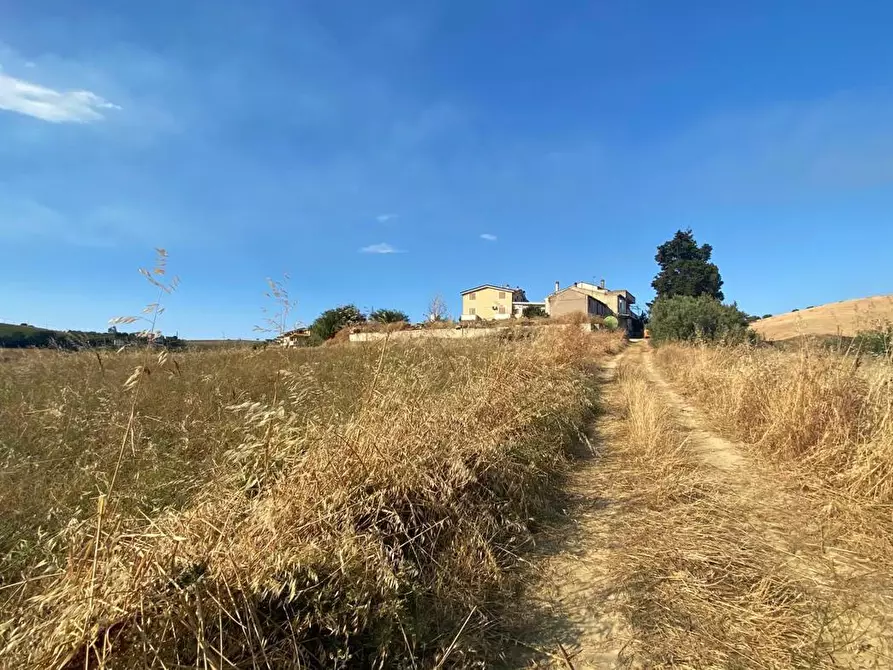 Immagine 2 di Terreno agricolo in vendita  in LocalitÃ  Centovie, 0 a Roseto Degli Abruzzi