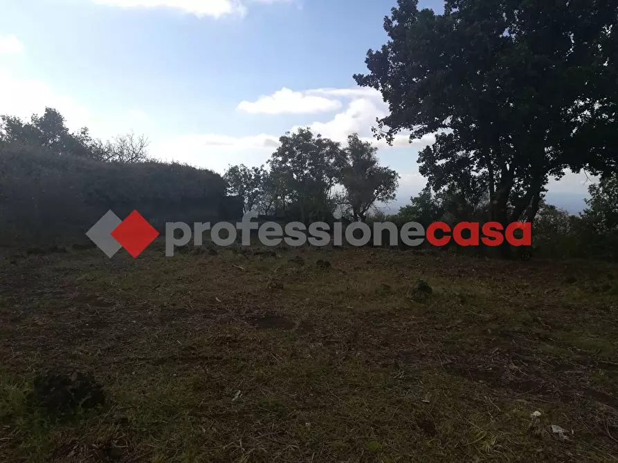 Immagine 3 di Terreno agricolo in vendita  in Contrada Scorsone, SNC a Belpasso