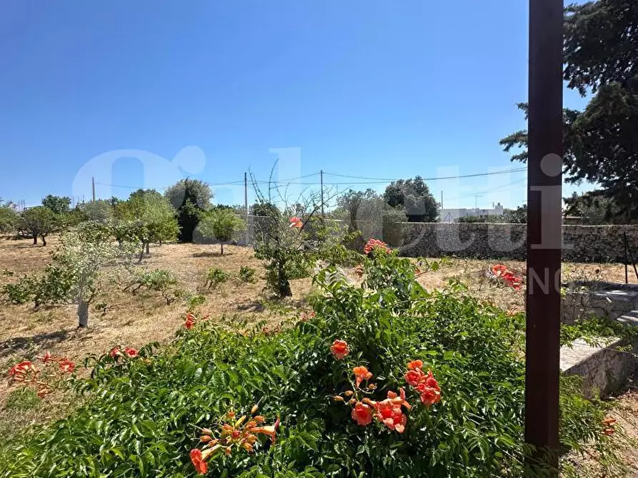 Immagine 16 di Villa in vendita  in Contrada Lamardilla, sn a Ostuni