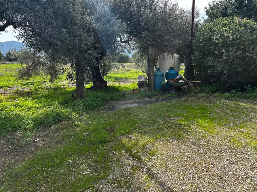 Immagine 10 di Casa indipendente in vendita  in LocalitÃ  Arriari, snc a Villamassargia
