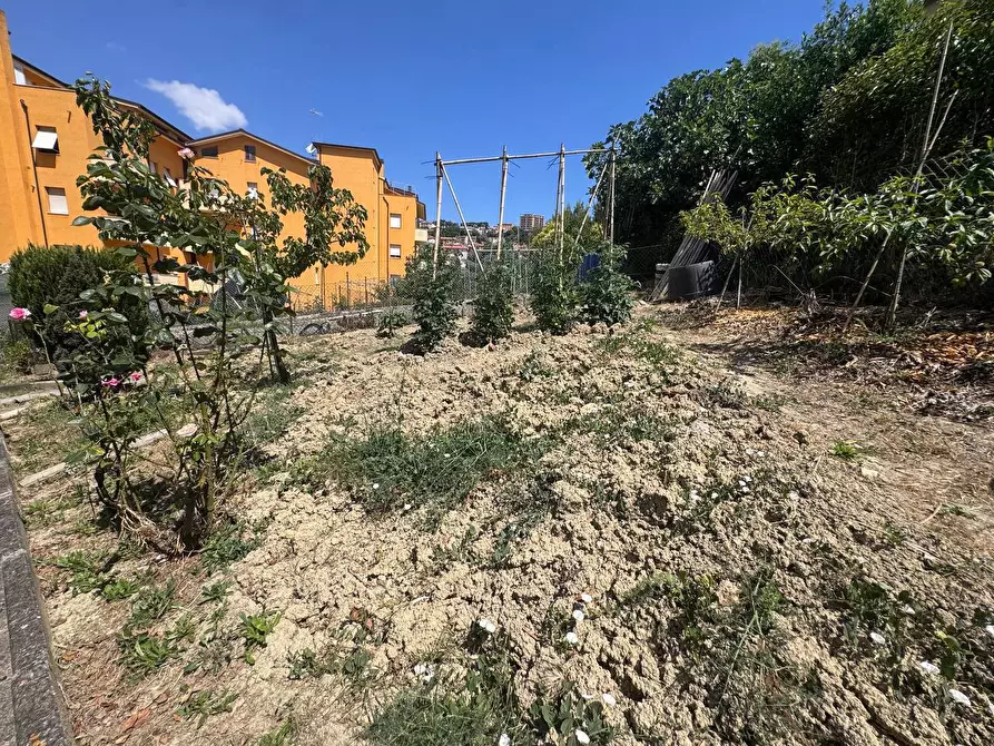 Immagine 24 di Appartamento in vendita  in Via spada a Osimo