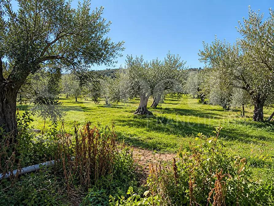 Immagine 17 di Rustico / casale in vendita  in Contrada Bortolone, 55 a Chiaramonte Gulfi