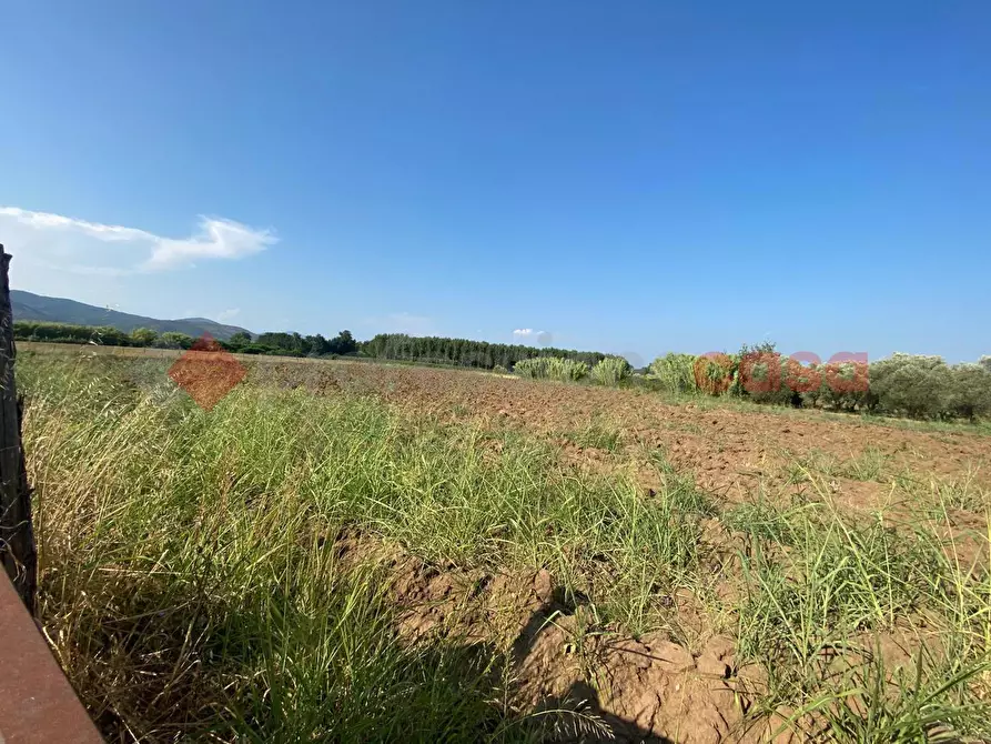 Immagine 35 di Terreno agricolo in vendita  in LocalitÃ  Starzella, SNC a Falciano Del Massico