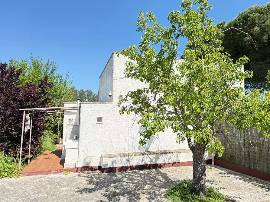 Immagine 8 di Casa indipendente in vendita  in Contrada ROMANELLI, 00 a Monopoli