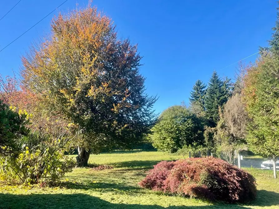 Immagine 5 di Villa in vendita  in Via roma, 83 a Castronno