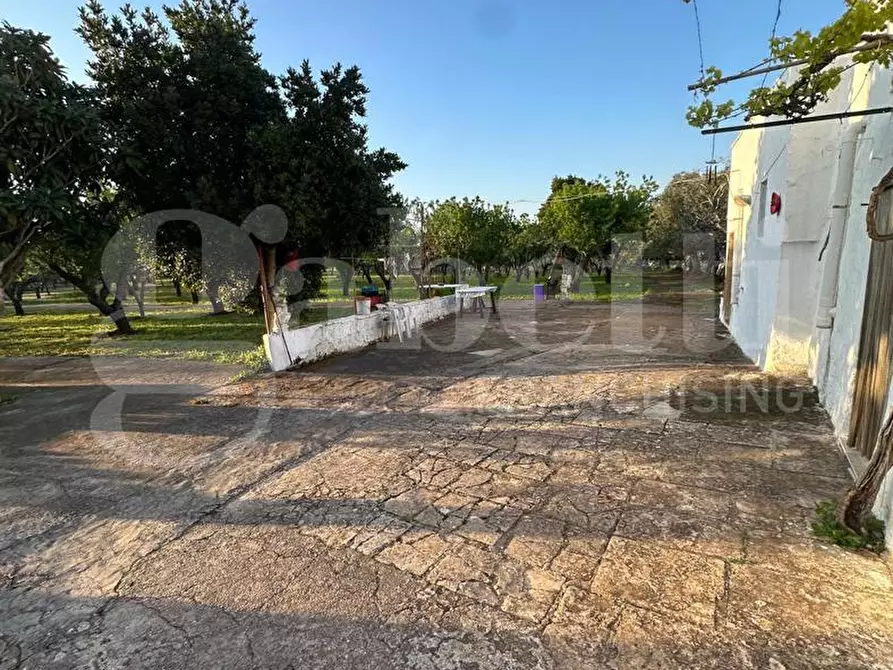 Immagine 9 di Villa in vendita  in Contrada San Benedetto, sn a Ostuni