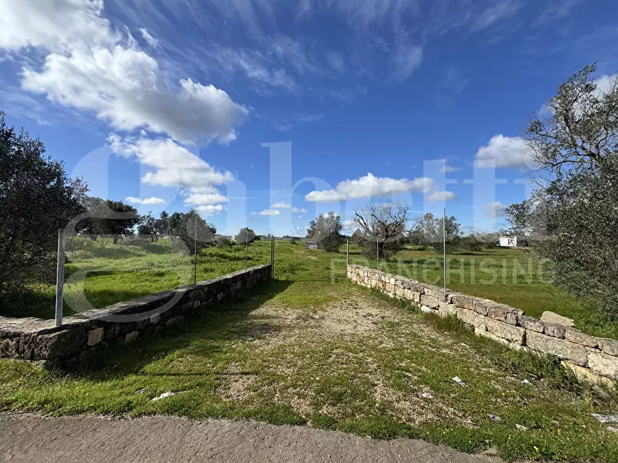 Immagine 2 di Terreno agricolo in vendita  in Via Fiume, 101 a Galatina