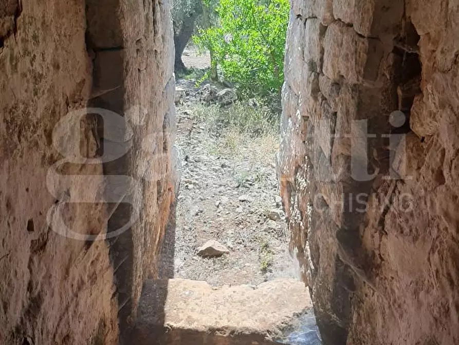 Immagine 4 di Terreno agricolo in vendita  in Contrada la chiusa, sn a Ostuni