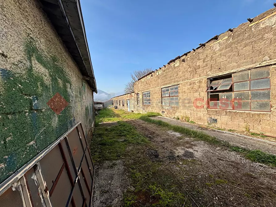 Immagine 3 di Capannone industriale in vendita  in Via Capannaccio, 1 a Anagni
