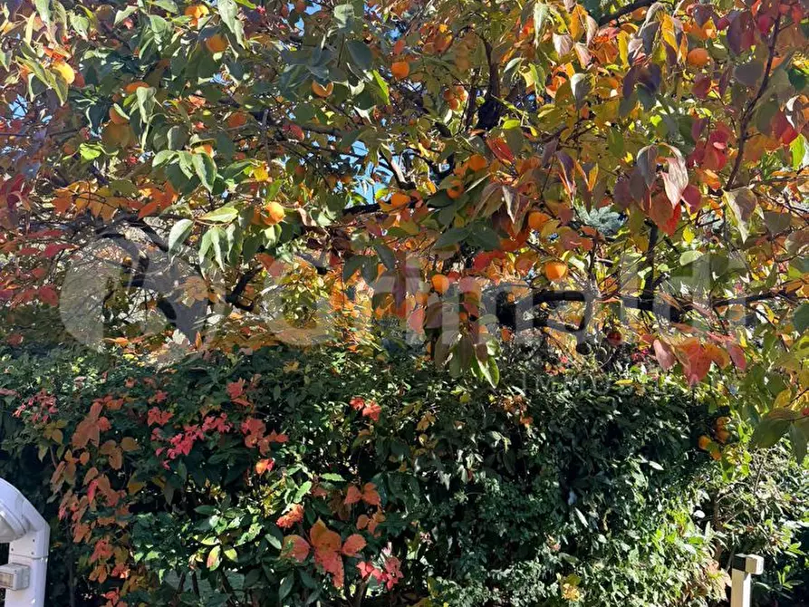 Immagine 9 di Appartamento in vendita  in Via Frazione Morgnaga Via Filippini, 1 a Gardone Riviera