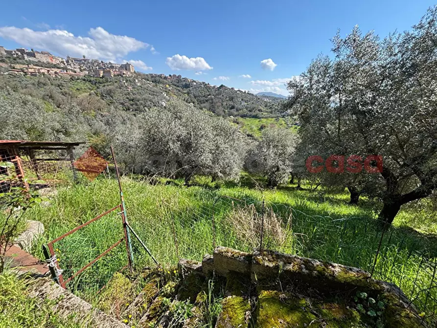 Immagine 22 di Casa indipendente in vendita  in Strada Vicinale San Vincenzo, snc a Anagni