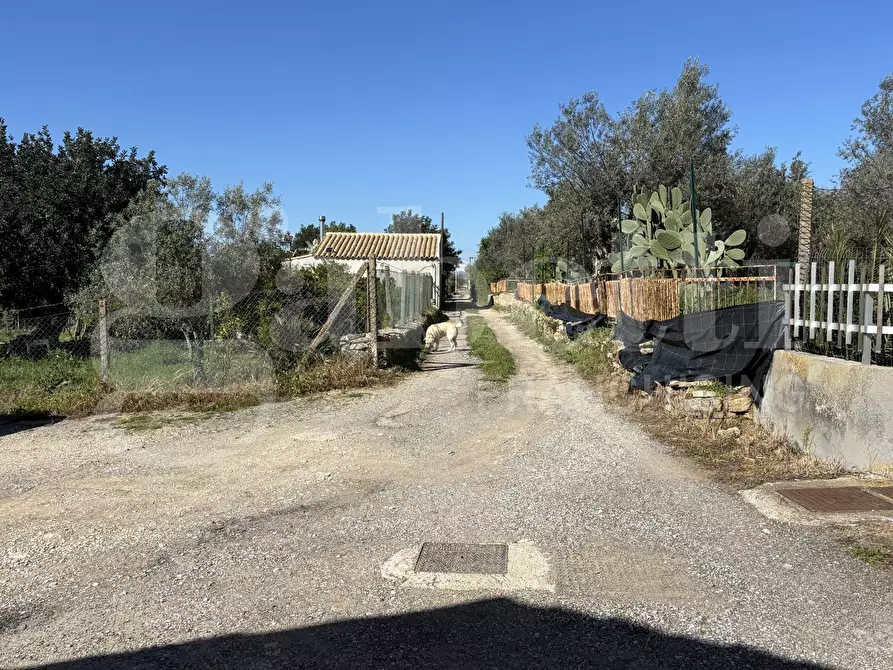 Immagine 15 di Rustico / casale in vendita  in Contrada Bortolone, 55 a Chiaramonte Gulfi