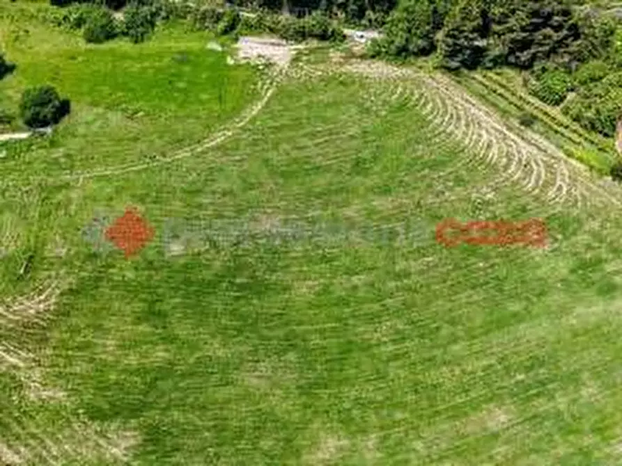 Immagine 7 di Terreno residenziale in vendita  in LocalitÃ  Sant'Anna, snc a Anagni