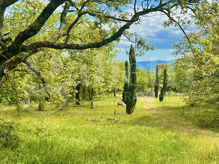 Immagine 13 di Rustico / casale in vendita  in Via di Vitozza, 16 a Sorano