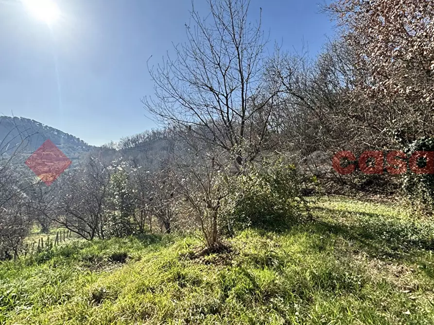 Immagine 18 di Rustico / casale in vendita  in Via Monte San Marino, snc a Alatri