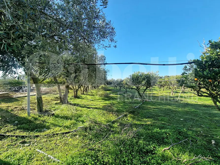 Immagine 7 di Terreno agricolo in vendita  in Via dessi, snc a Sestu