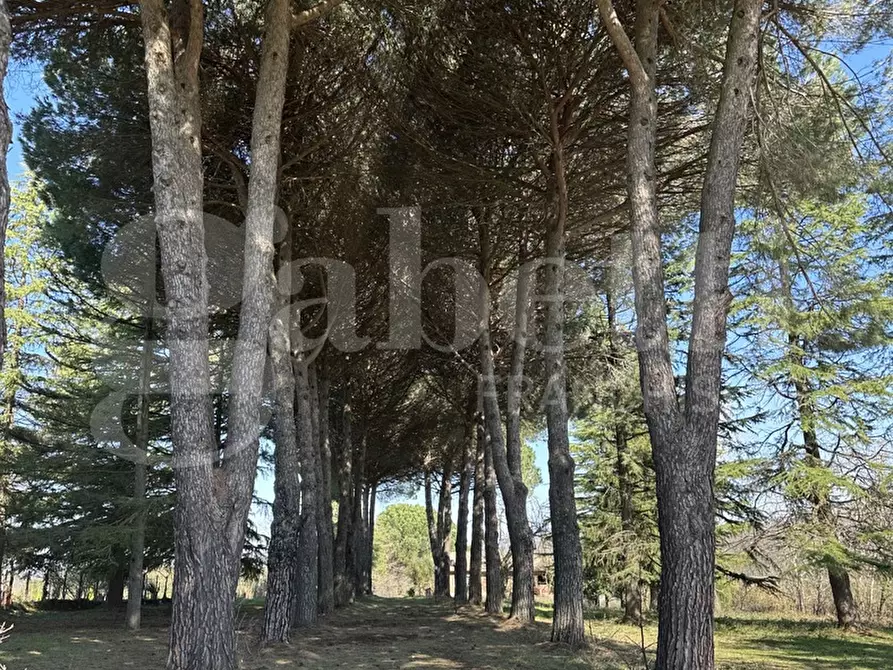 Immagine 19 di Villa in vendita  in Strada DELLA CASTELLINA, 00 a Oriolo Romano