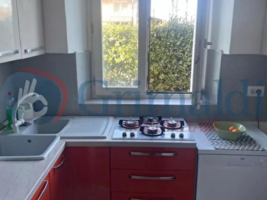 Immagine 7 di Appartamento in vendita  in LocalitÃ  stradone della torre a Rosignano Marittimo