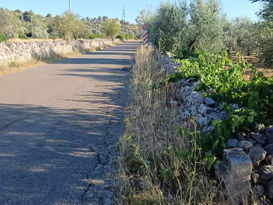 Immagine 11 di Terreno agricolo in vendita  in Strada VICINALE CRISPIANO MONTETERMITI, SNC a Crispiano