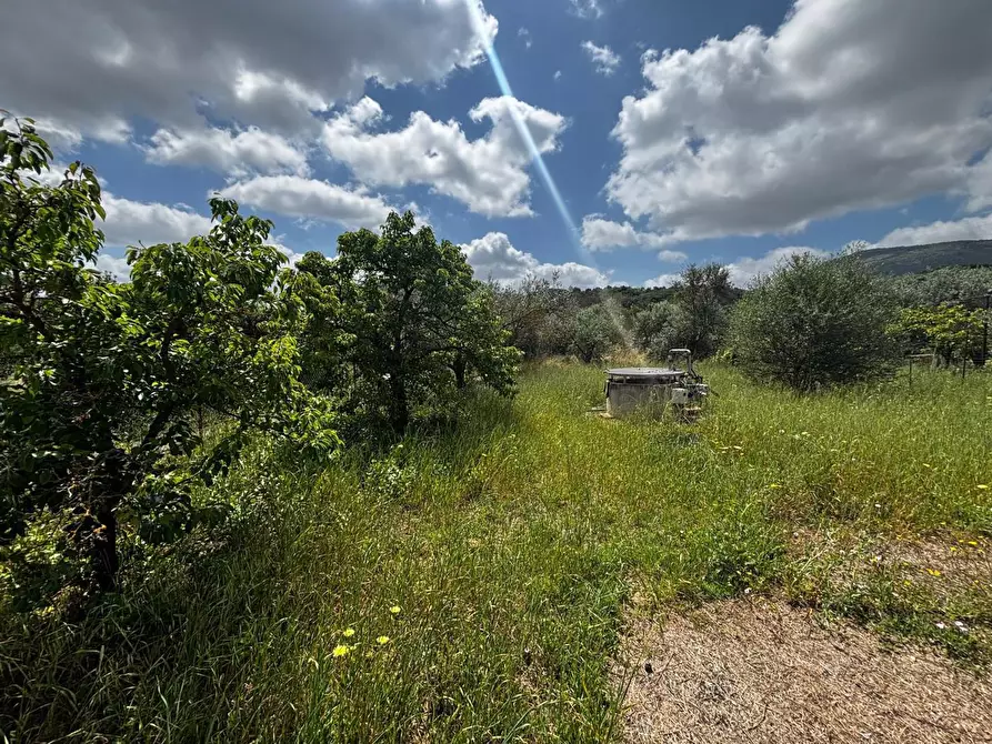 Immagine 3 di Casa bifamiliare in vendita  in Via Frazione Is Cherchis, snc a Narcao