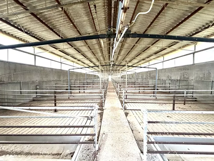 Immagine 2 di Capannone industriale in vendita  in Strada COMUNALE DE ORBAI, SNC a Dolianova
