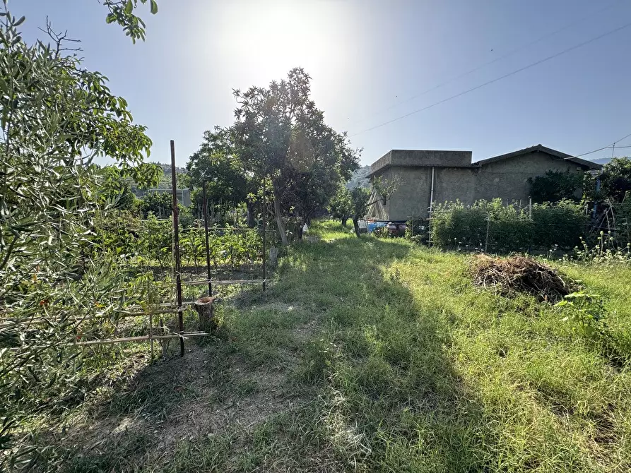 Immagine 14 di Terreno agricolo in vendita  in Strada comunale, snc a Rometta