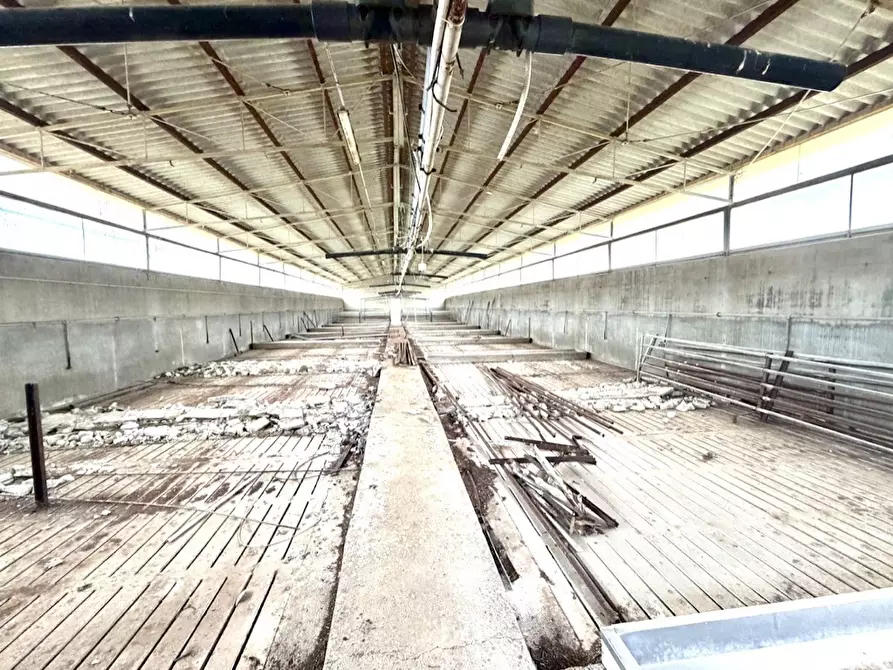 Immagine 8 di Capannone industriale in vendita  in Strada COMUNALE DE ORBAI, SNC a Dolianova