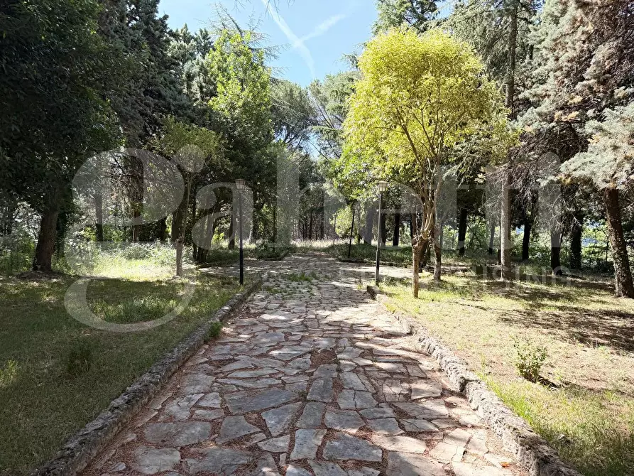 Immagine 14 di Appartamento in vendita  in Via FRAZIONE PARADISO, 1 a Assisi
