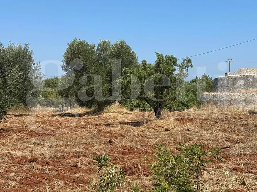 Immagine 4 di Rustico / casale in vendita  in Contrada Tamburroni, sn a Ostuni