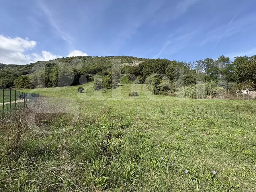 Immagine 5 di Terreno agricolo in vendita  in LocalitÃ  Valle Franca e Petreta, snc a Montelanico