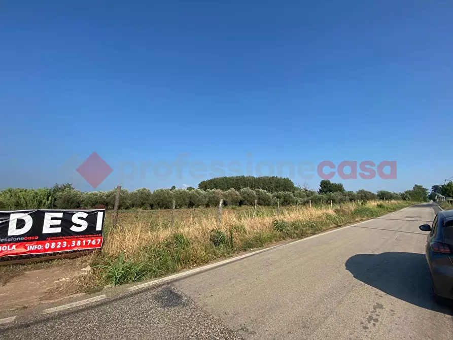 Immagine 5 di Terreno agricolo in vendita  in LocalitÃ  Starzella, SNC a Falciano Del Massico