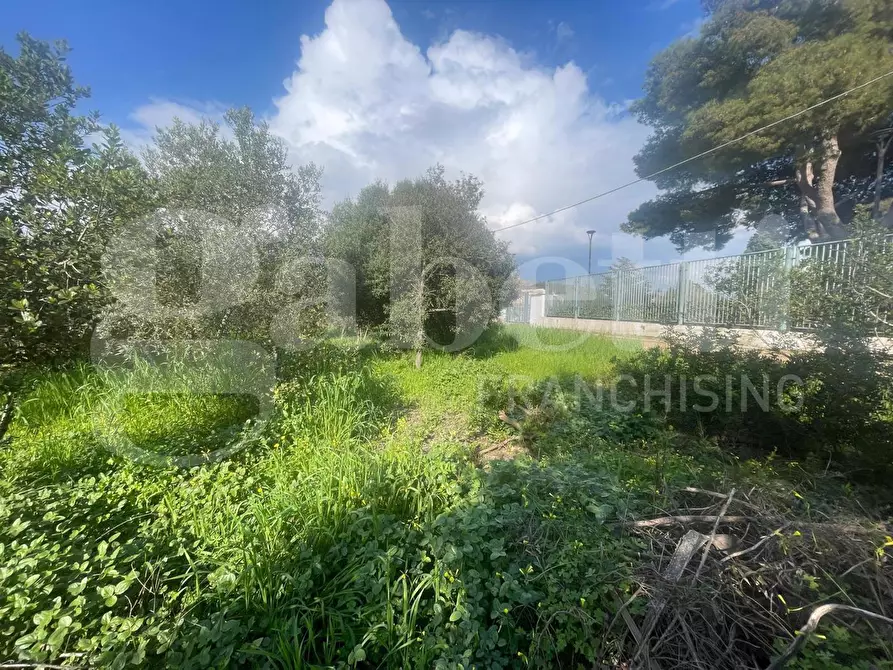 Immagine 7 di Terreno agricolo in vendita  in LocalitÃ  Monte a Mare, s.n.c a Gaeta