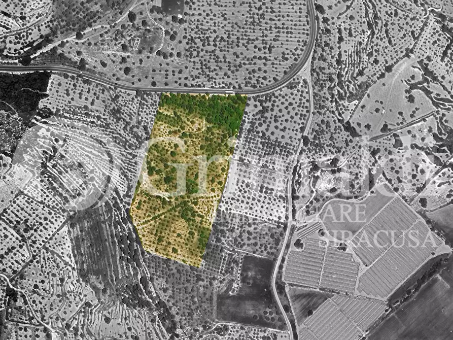 Immagine 6 di Terreno agricolo in vendita  in Via SS115, 1 a Noto