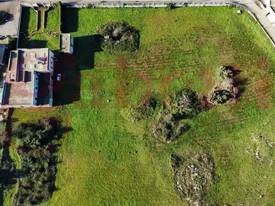 Immagine 5 di Villa in vendita  in Via stazione, snc a Zollino