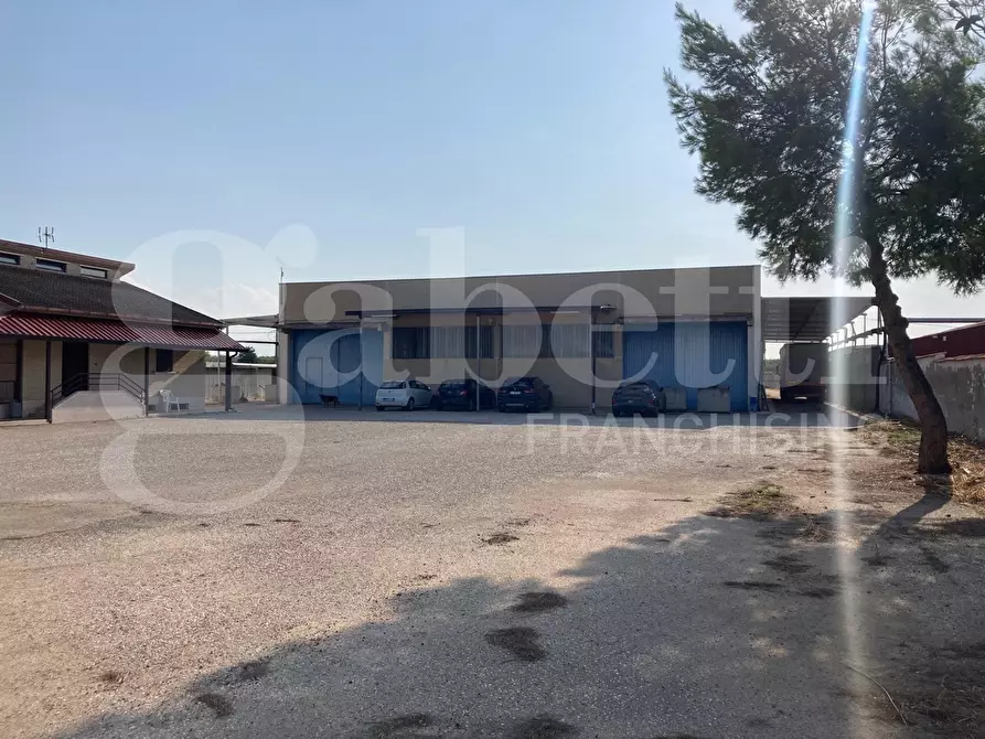 Immagine 8 di Palazzo in vendita  in Strada Statale 16 a San Severo