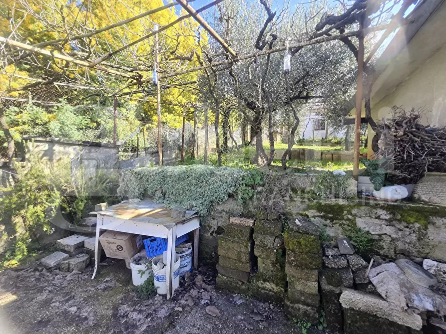 Immagine 12 di Rustico / casale in vendita  in Via Fonte del Colle, snc a Artena