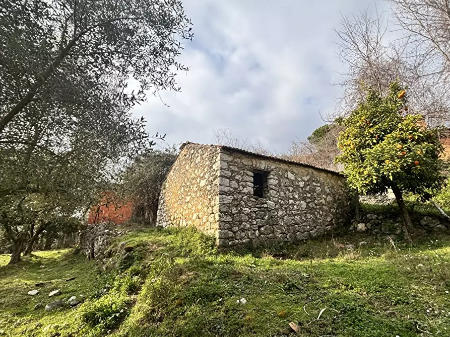 Immagine 12 di Rustico / casale in vendita  in Via Casale Basso, snc a Alatri